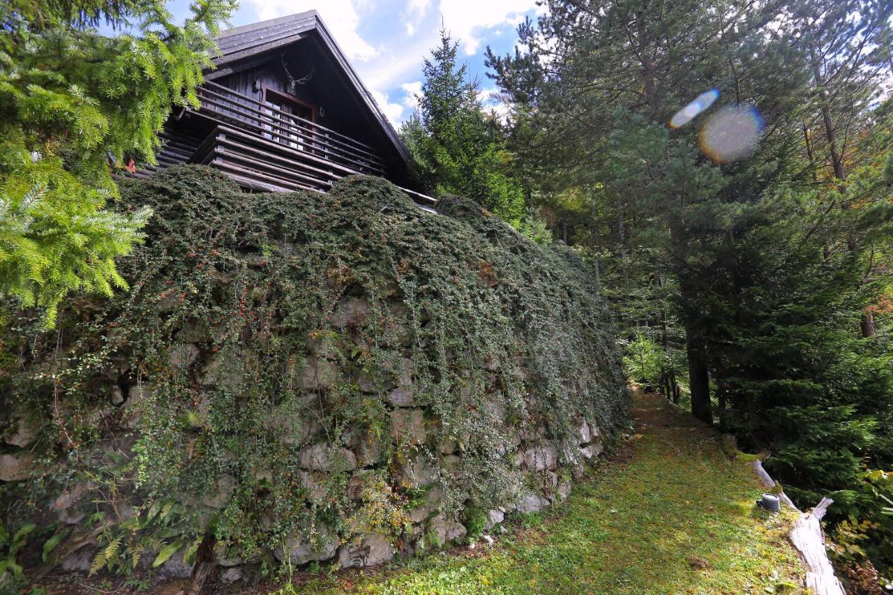 Вілла Mountain Dreams House - Stunning View Over Lake Jasna! Кранська Гора Екстер'єр фото